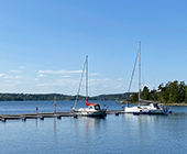 Djursholm