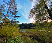 Stockholm Flaten
