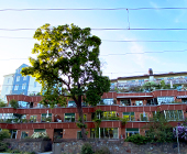 Stockholm Gröndal