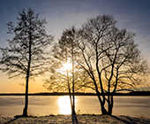 Kungsängen