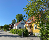 Rimbo