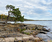 Täby