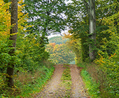Eslöv