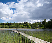 Bollnäs