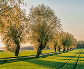 Boxholm
