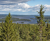 Smedjebacken