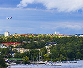 Alvik