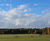 Stockholm Vällingby