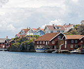Tjörn
