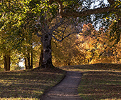 Tyresö