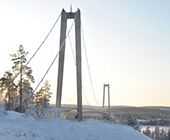 Bjurholm
